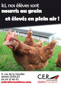 Image de l'auto-école à Cholet, CER Zebra Formations