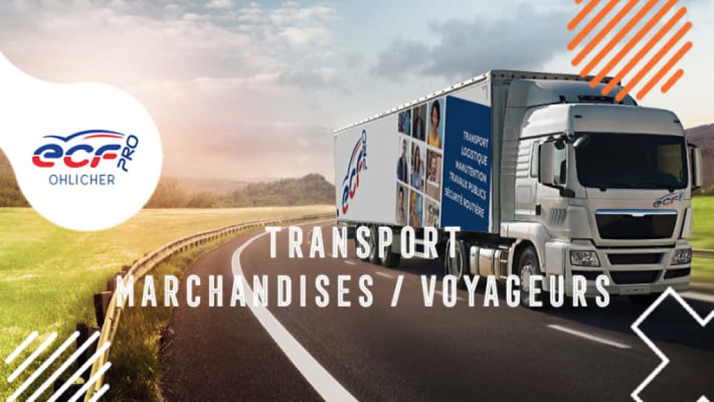 ECF Ohlicher – Forma Pro Transport — photo 2
