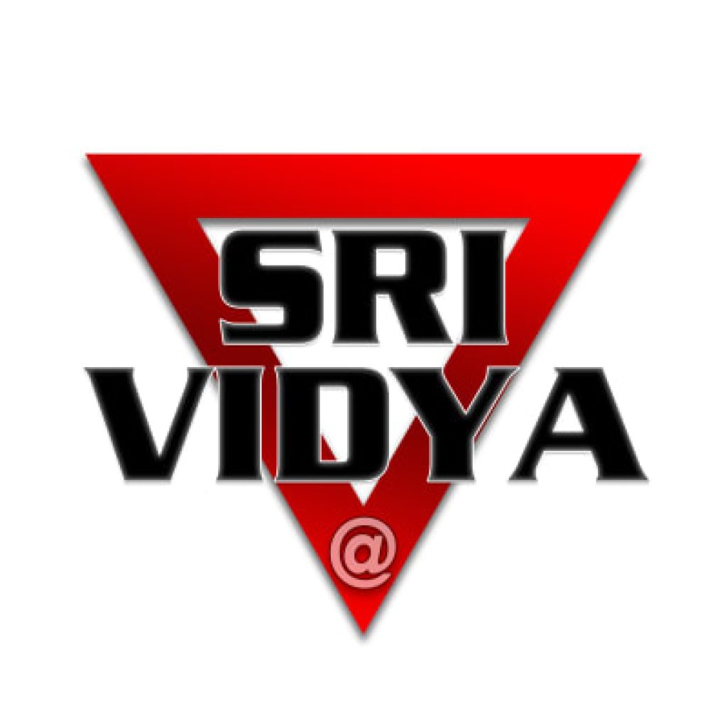 Auto-école SRI VIDYA — photo 2