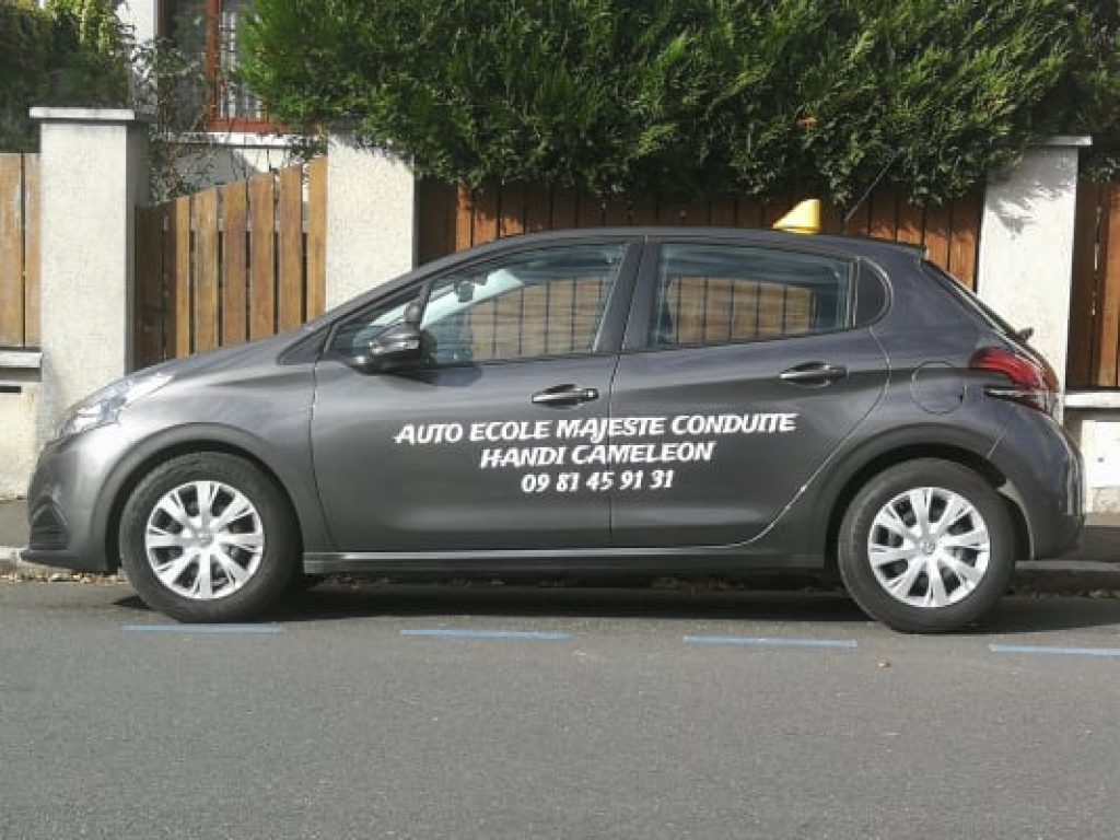 Majesté Conduite Handi Caméléon — photo 2