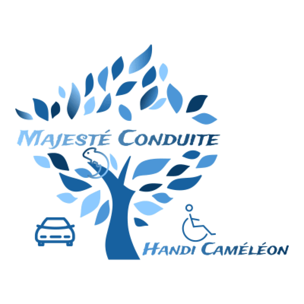 Majesté Conduite Handi Caméléon — photo 3